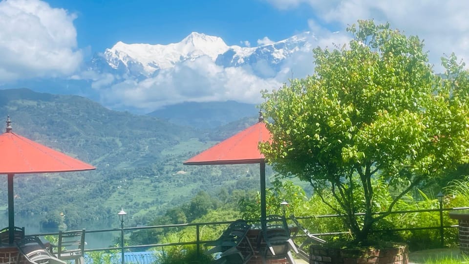 Garden view