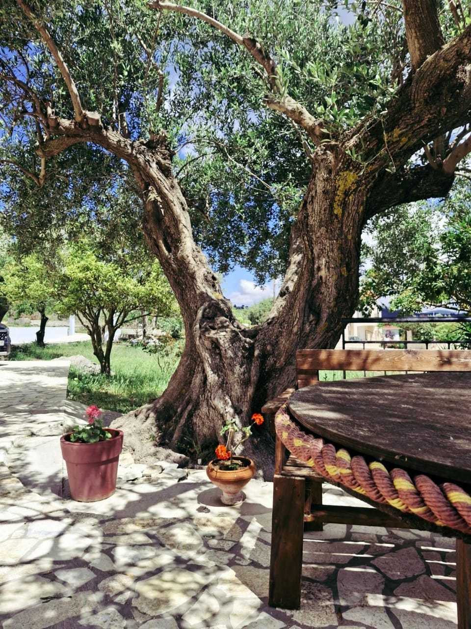 Olivo Apartment House in Cephalonia