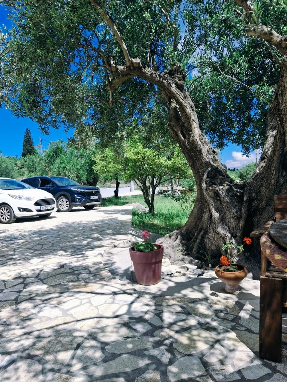 Olivo Apartment House in Cephalonia