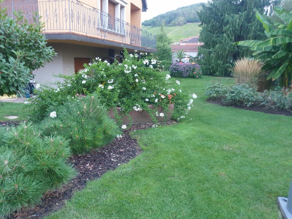 Garden, Garden view