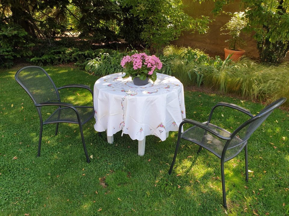 Garden view