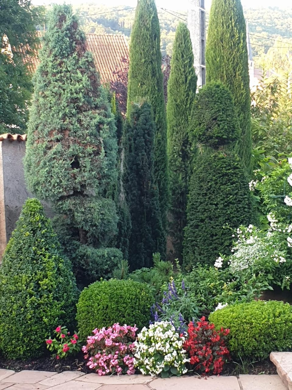 Garden view