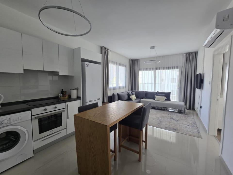 Kitchen or kitchenette, Living room, Seating area, Dining area, dishwasher, minibar, oven, pet friendly, stove, washing machine, dryer