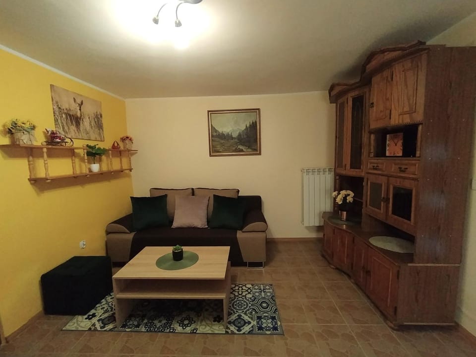 Apartament KARINA 2 Apartment in Lesser Poland Voivodeship
