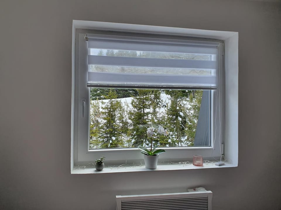 Winter, View (from property/room), Bedroom