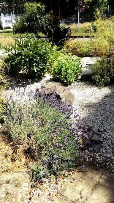 Garden, Garden view