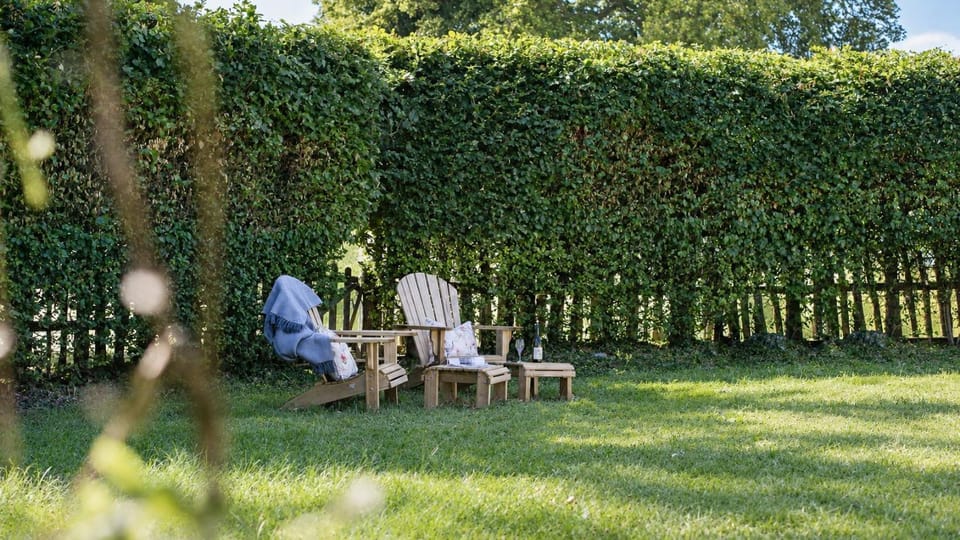 Natural landscape, Garden, Garden view