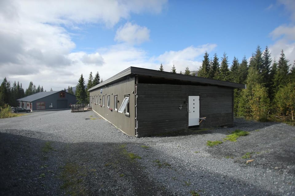 Blåfjell hundesenter fjellhotell Hotel in Nordland, Norway