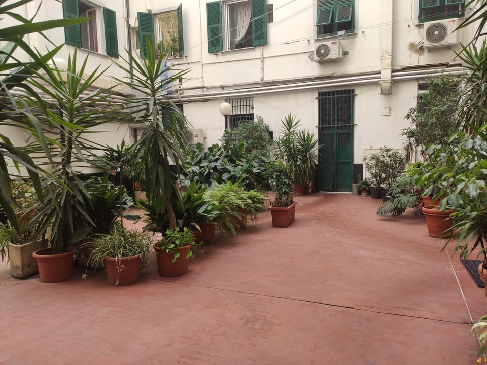Property building, Garden view