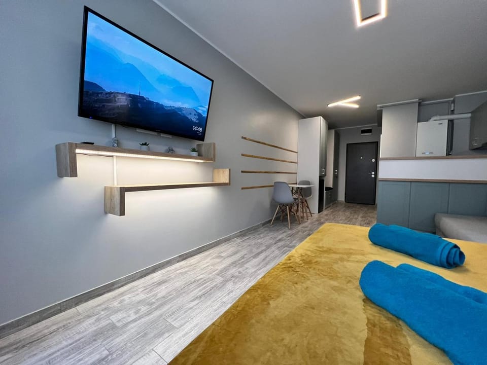 TV and multimedia