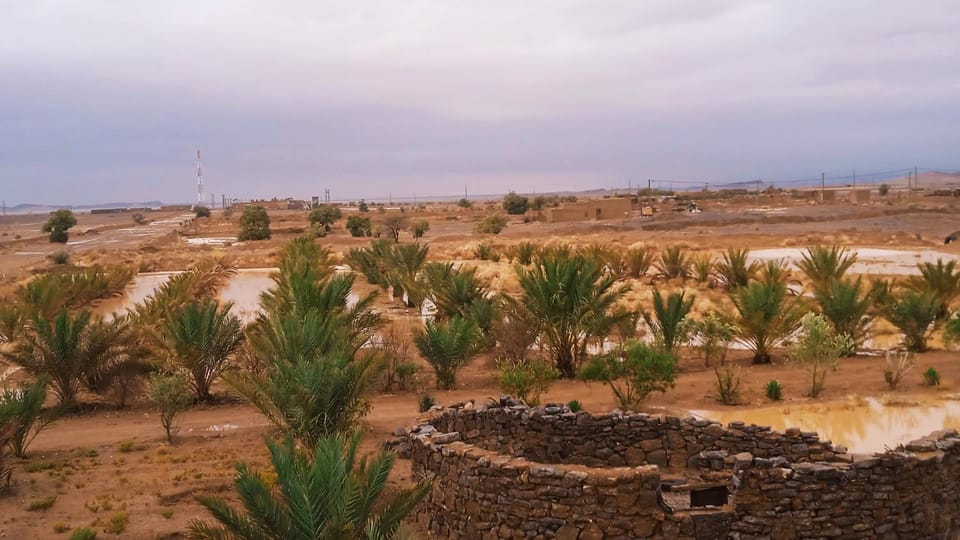 Dar Oasis Moringa Bed and Breakfast in Morocco