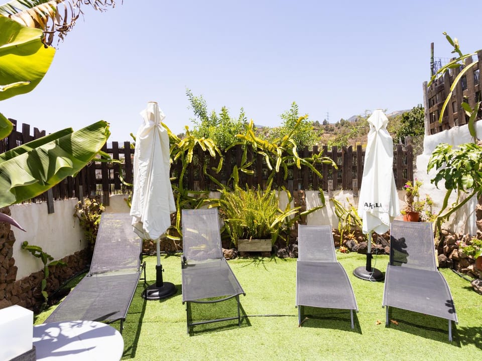 Garden, sunbed