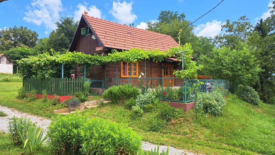 Day, Natural landscape, Garden
