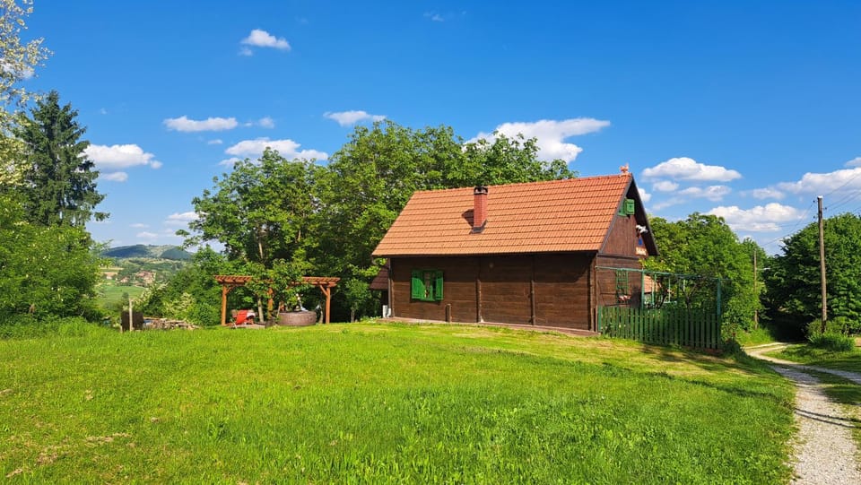 Property building, Day, Garden