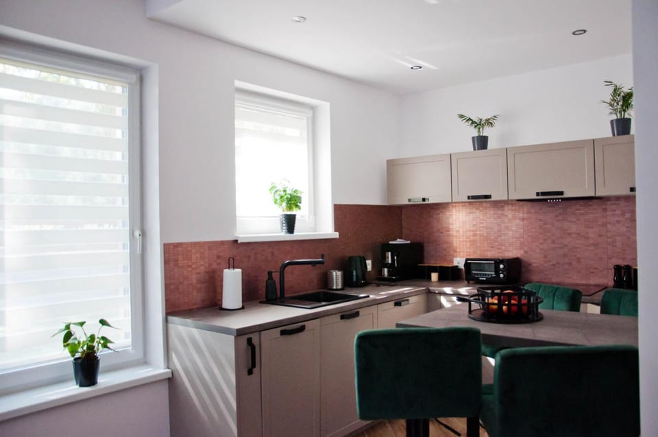Coffee/tea facilities, Kitchen or kitchenette, minibar, stove, toaster