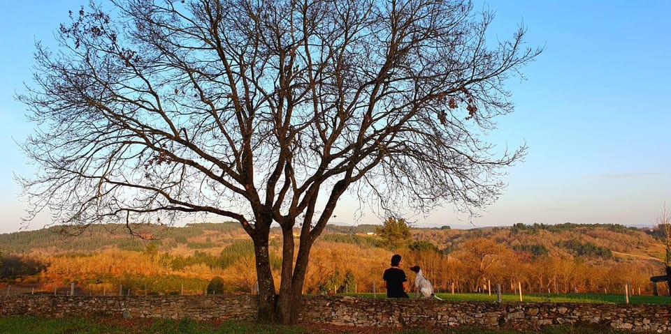 Natural landscape, Winter, Garden view