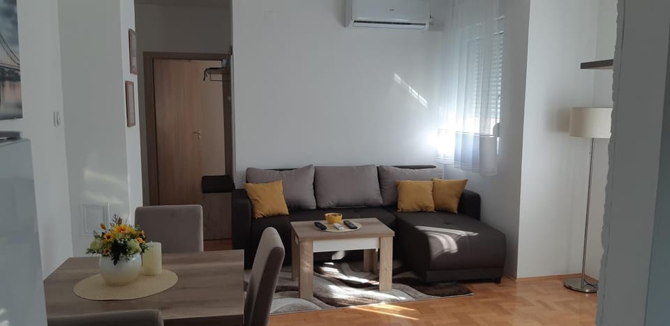 Apartman Vlada Apartment in Serbia