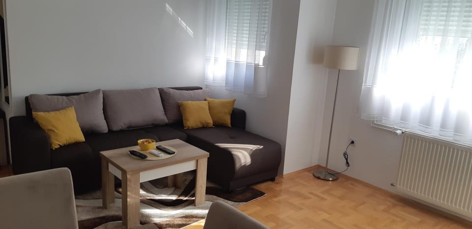Apartman Vlada Apartment in Serbia