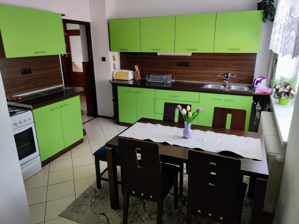 Kitchen or kitchenette, Dining area, oven, stove