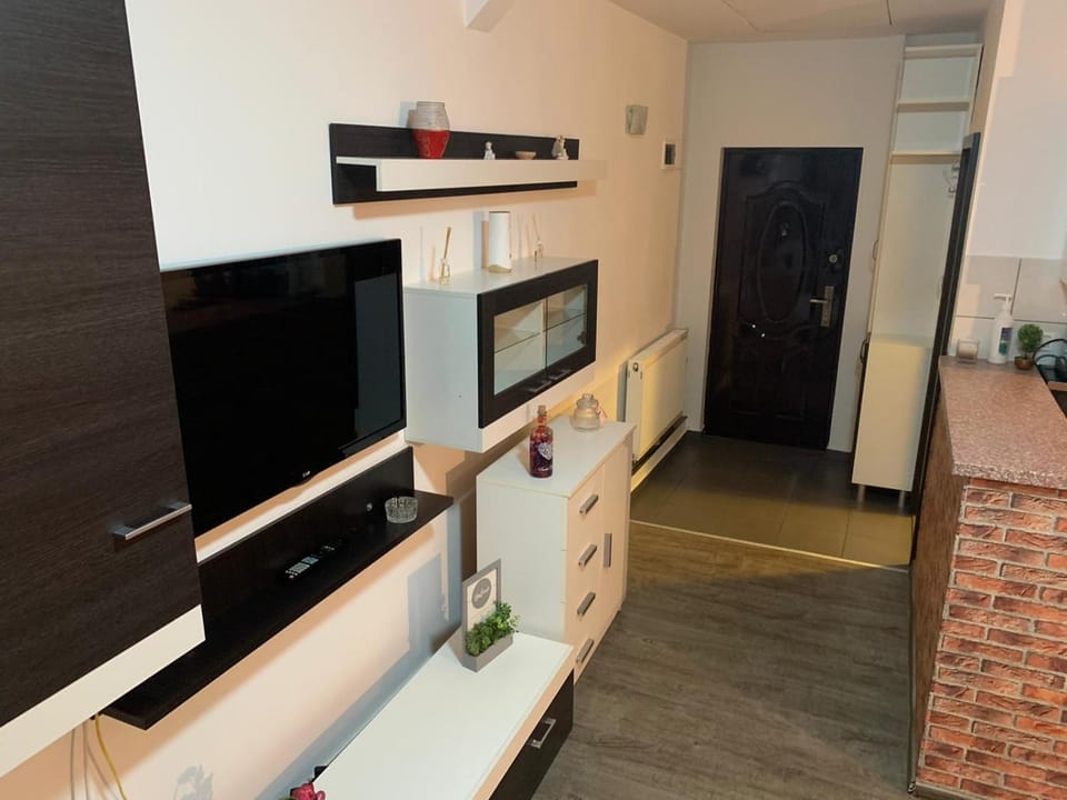 Apartament in regim hotelier Apartment in Timisoara