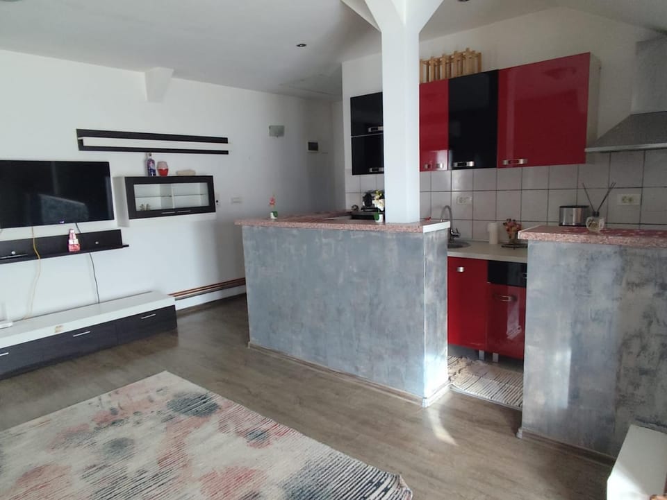 Apartament in regim hotelier Apartment in Timisoara