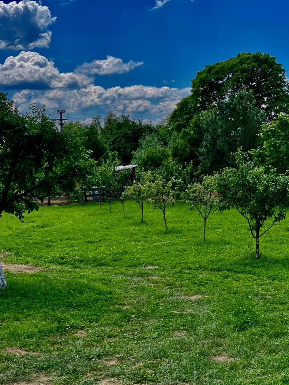 Casa bunicilor din Leresti Vacation rental in Romania