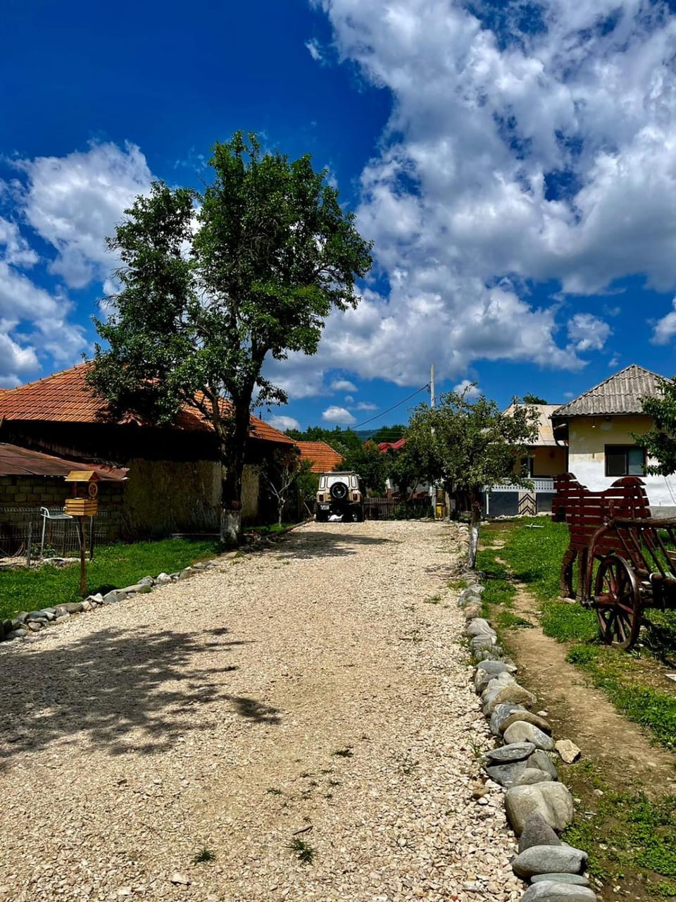 Natural landscape