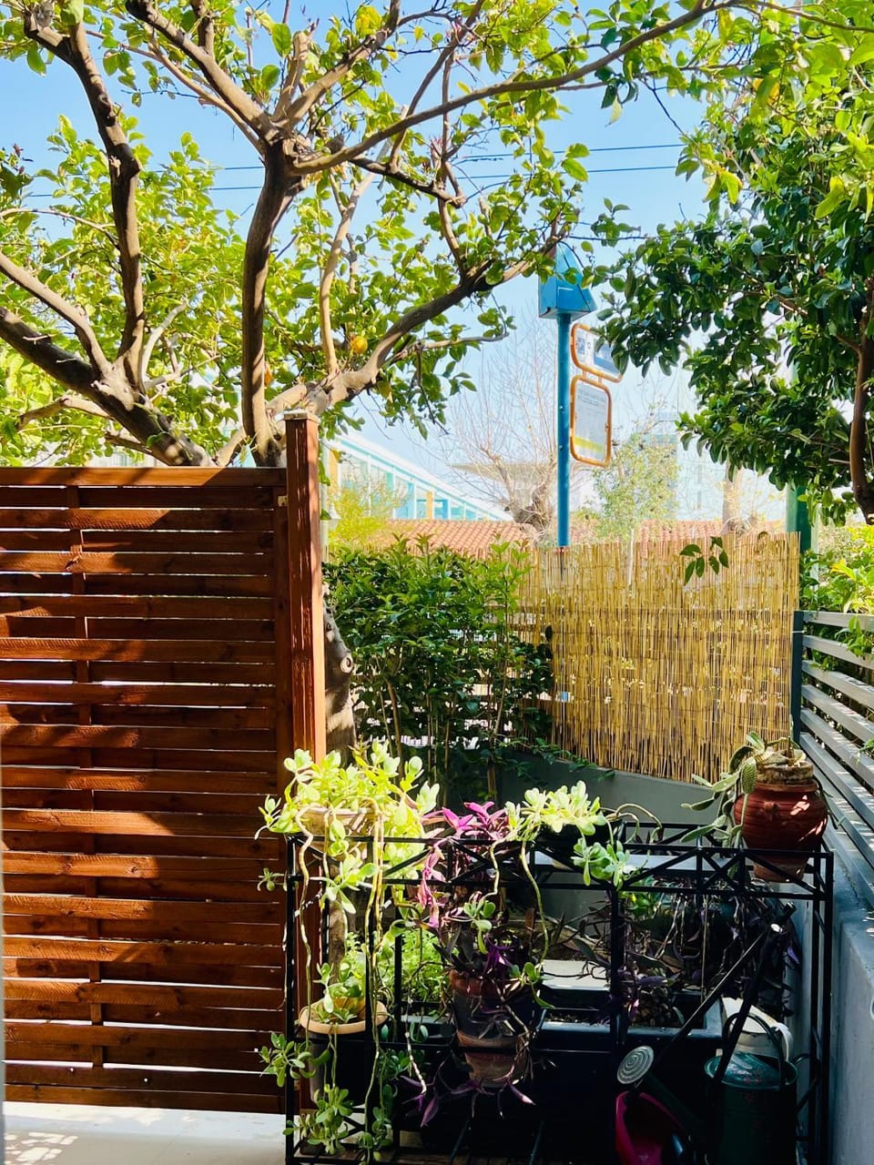 Day, Garden, Balcony/Terrace, Garden view