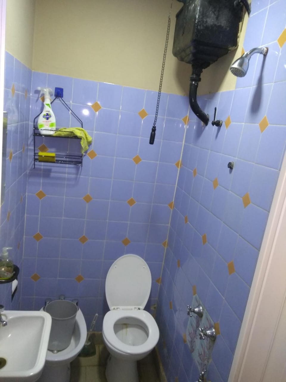 Shower, Toilet, Bathroom, bidet