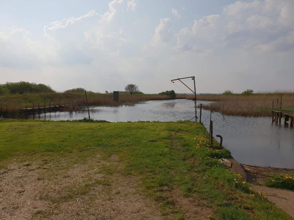 Lake view