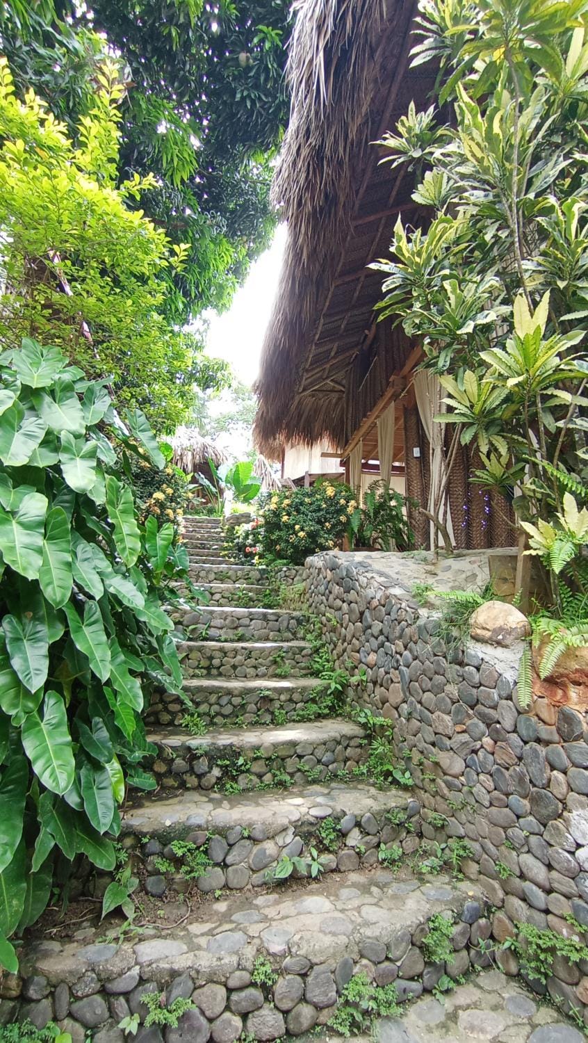ECOCABAÑAS DIOSA JAGUAR tayrona Bed and Breakfast in Magdalena, Colombia