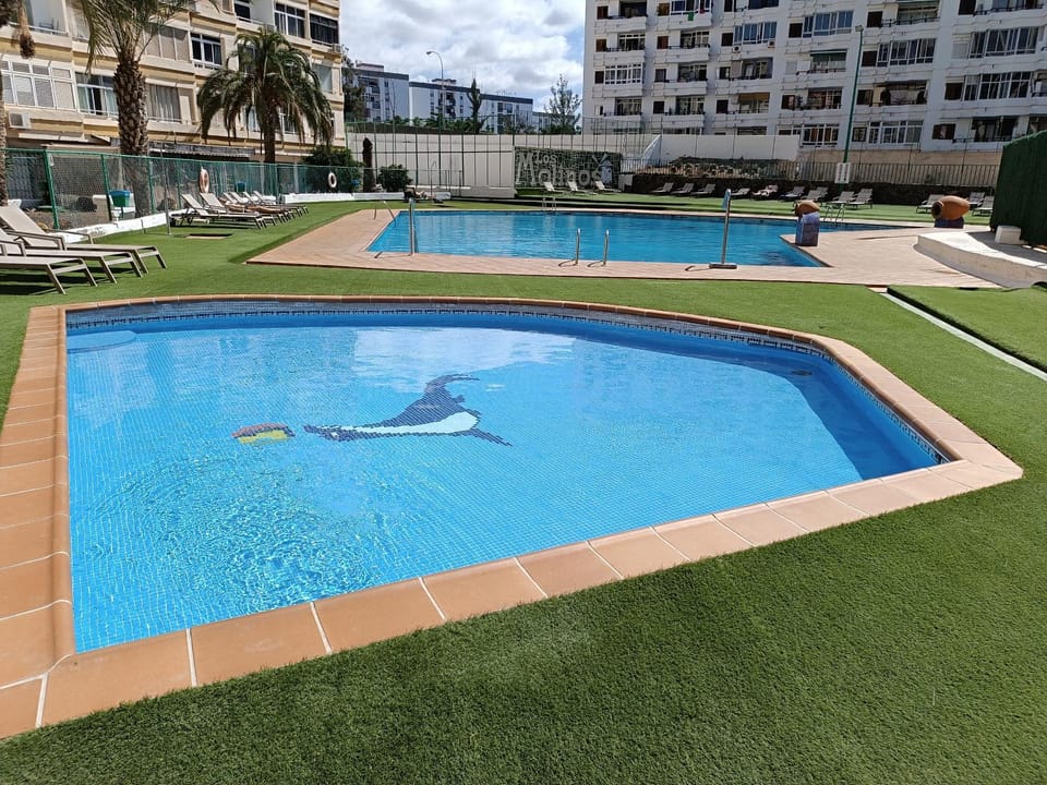 Swimming pool, Swimming pool