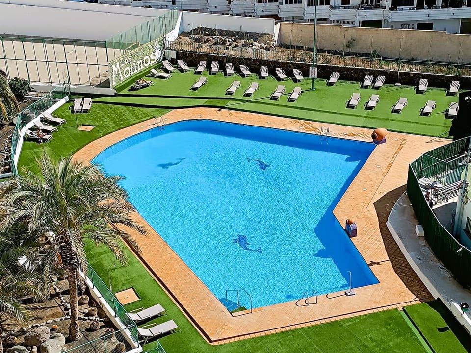 Pool view, Swimming pool