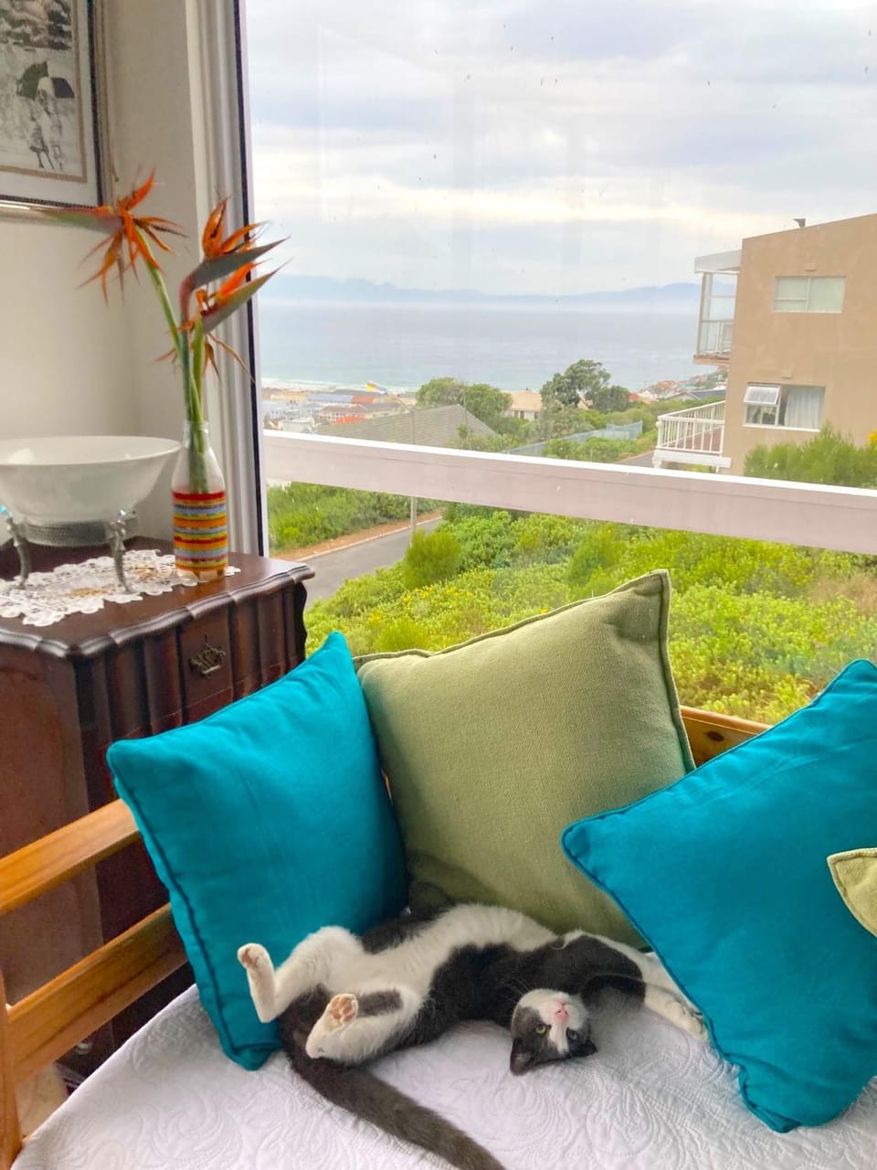 Natural landscape, View (from property/room), Balcony/Terrace, Living room, Seating area, Pets, Sea view