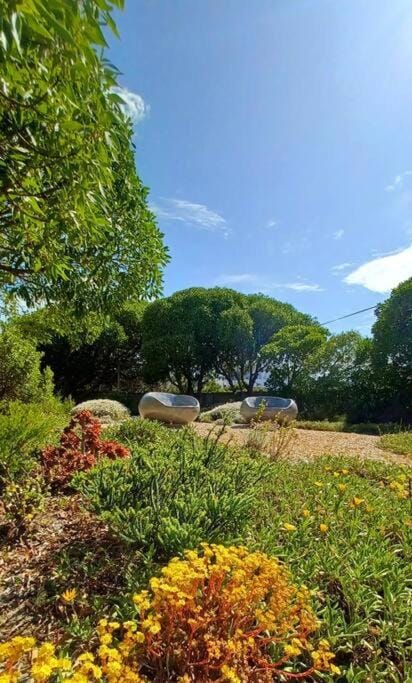 Natural landscape, Garden, Garden