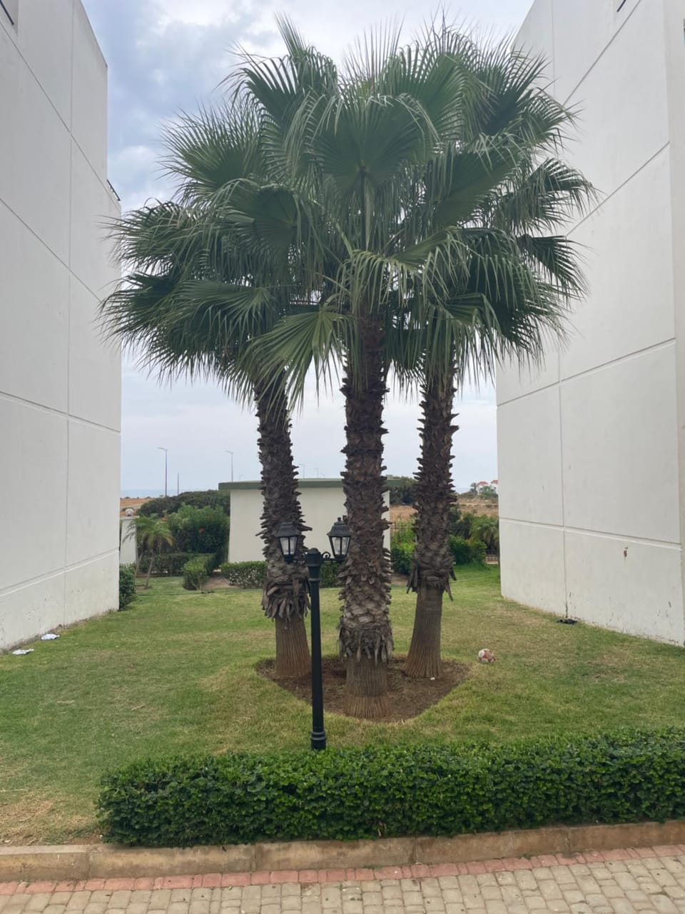 Joli appartement balnéaire avec piscine Apartment in Tangier