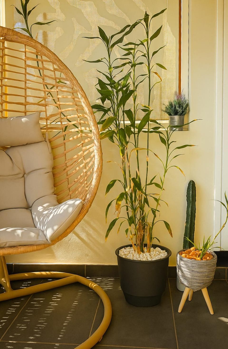 Patio, Balcony/Terrace
