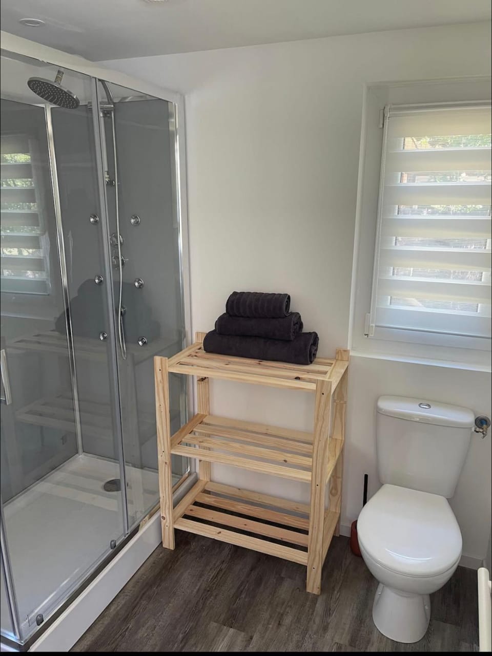 Shower, Toilet, Bathroom, towels