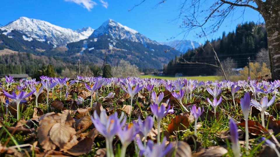 Spring, Natural landscape, Mountain view