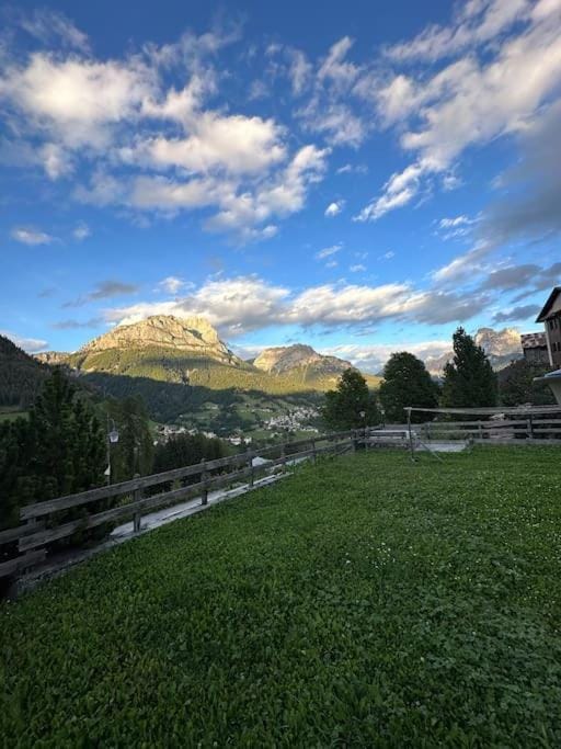 Garden, Garden view, Mountain view