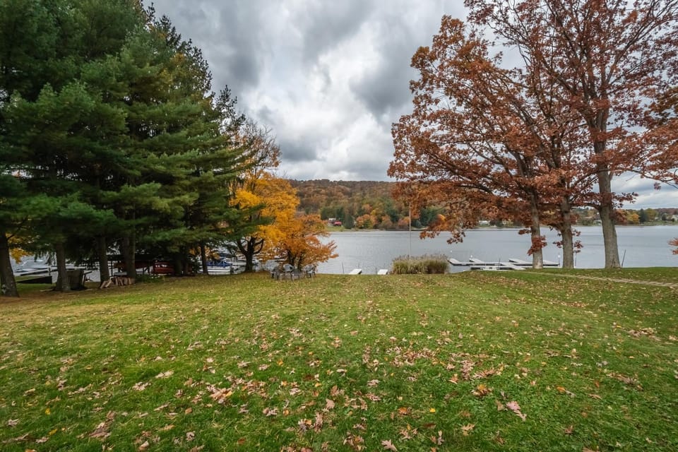Natural landscape, Garden, Lake view