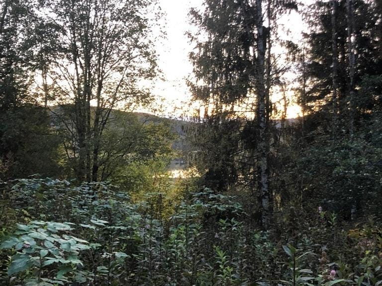 Little Forest House "Our Little Farm" House in Sweden