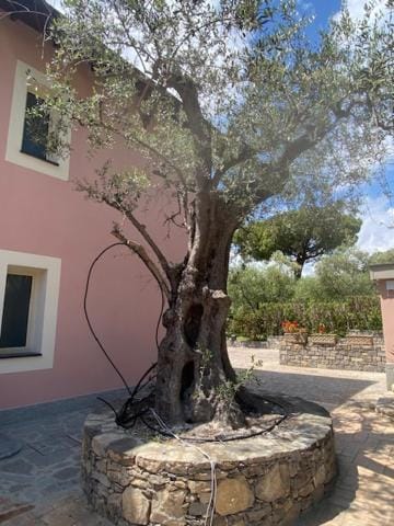 Andarosa Apartment in Liguria