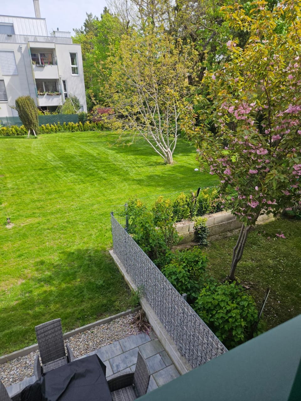 Spring, Garden, Garden view