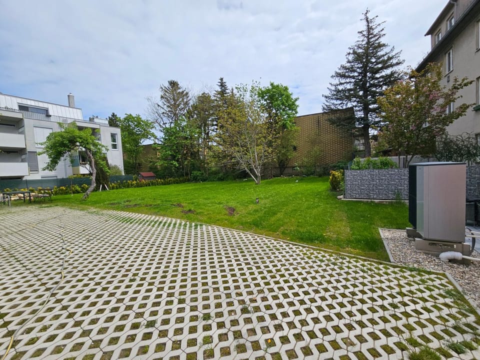 Spring, Garden, Garden view