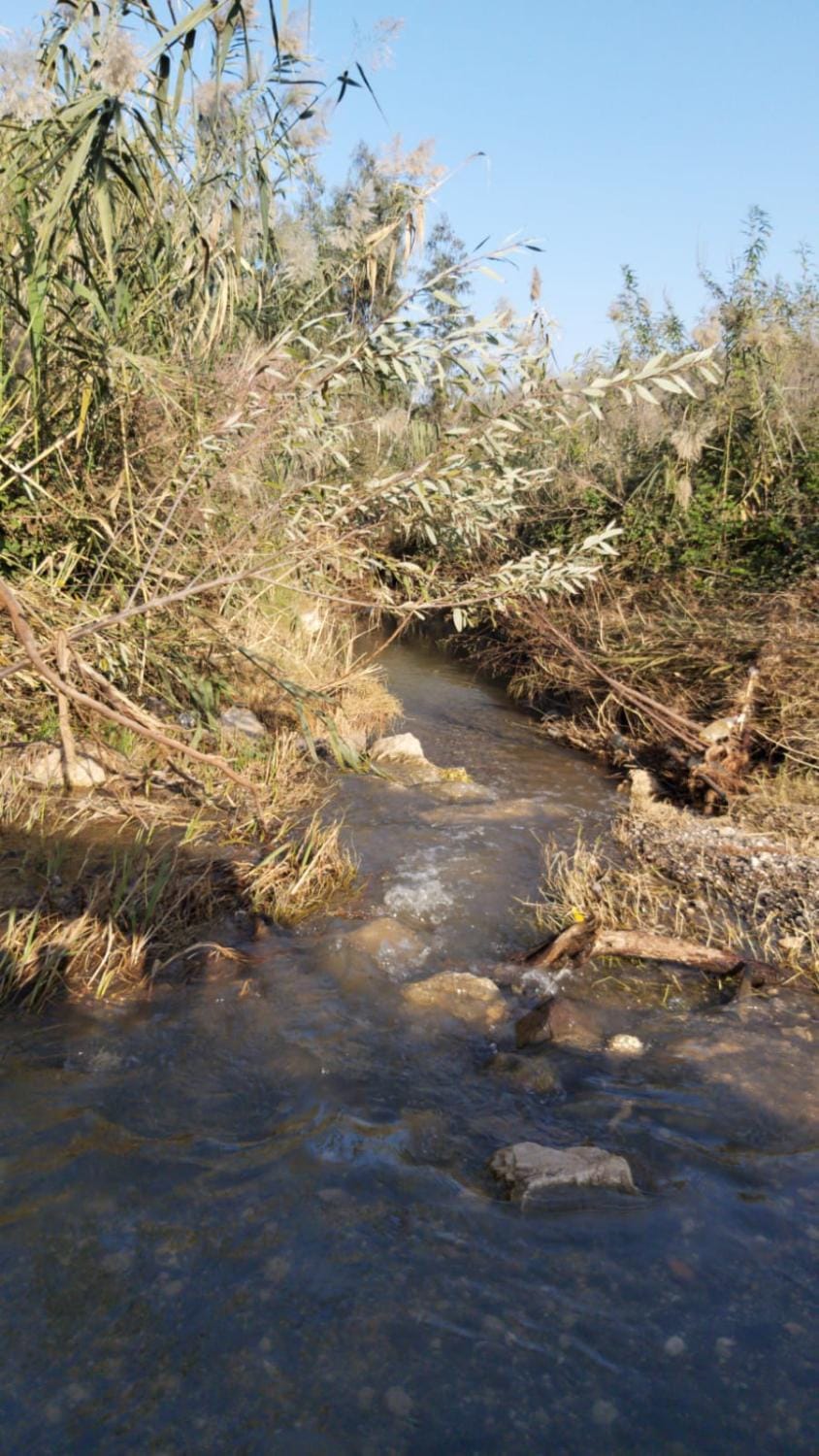 River view