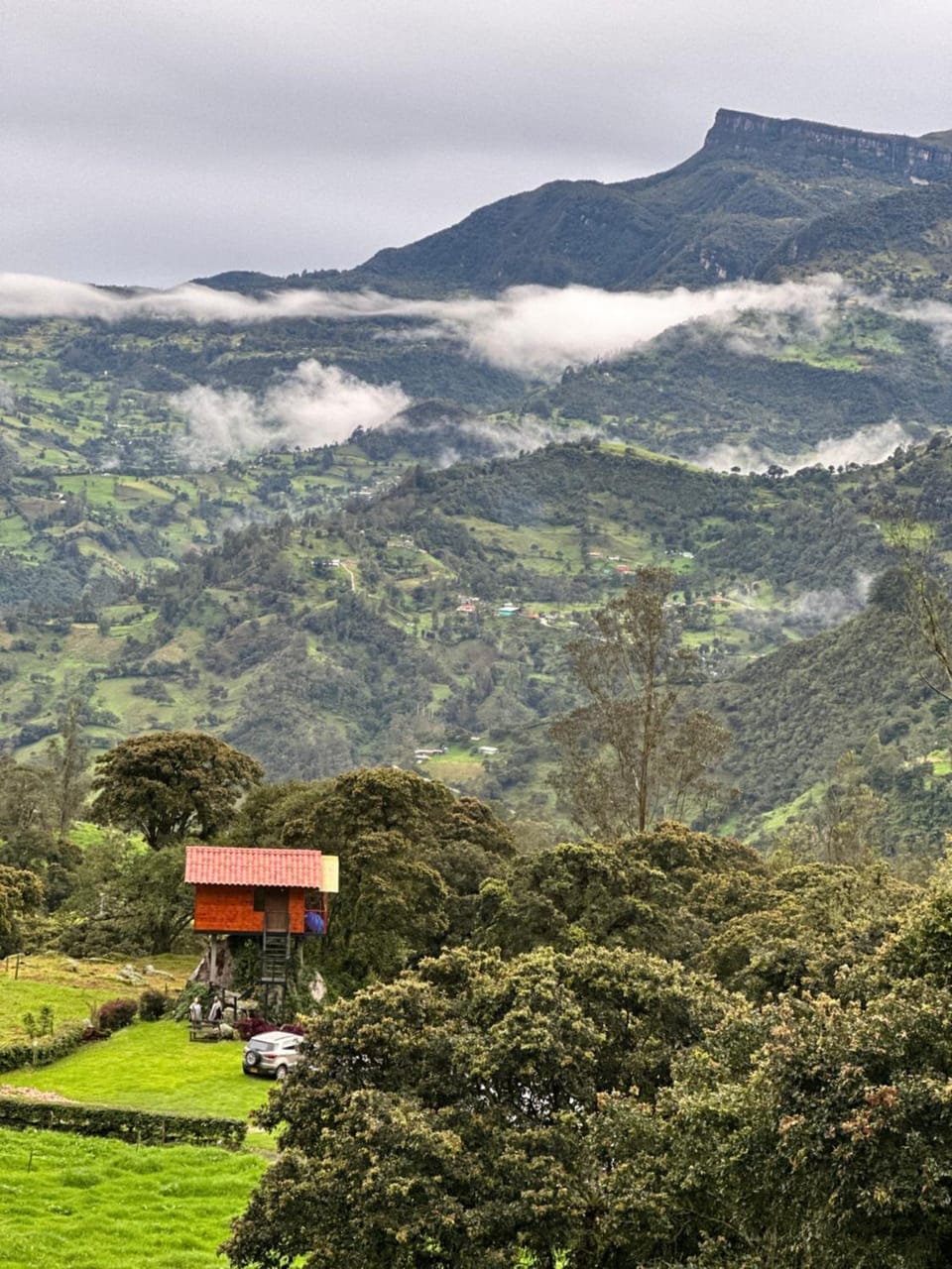 Natural landscape