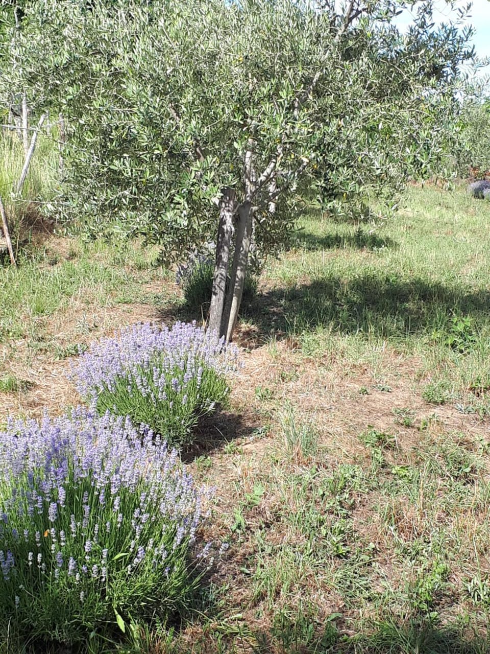 Day, Natural landscape