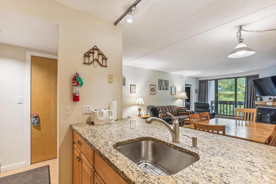 Pinnacle E10 House in Mendon