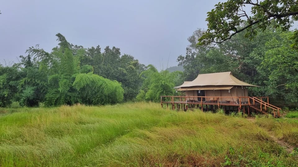 Natural landscape